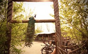 Bamboo Lodge Groningen