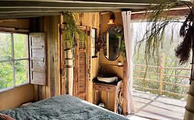 Bamboo Lodge Groningen